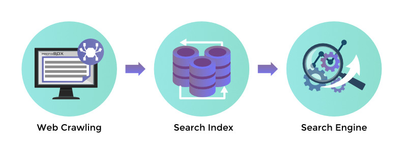 What is a Search Index > Web Crawling > Search Index > Search Engine